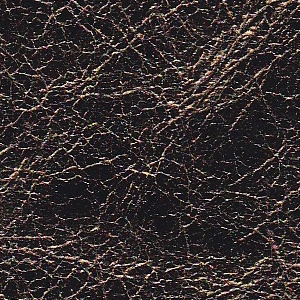 lotje crunch black